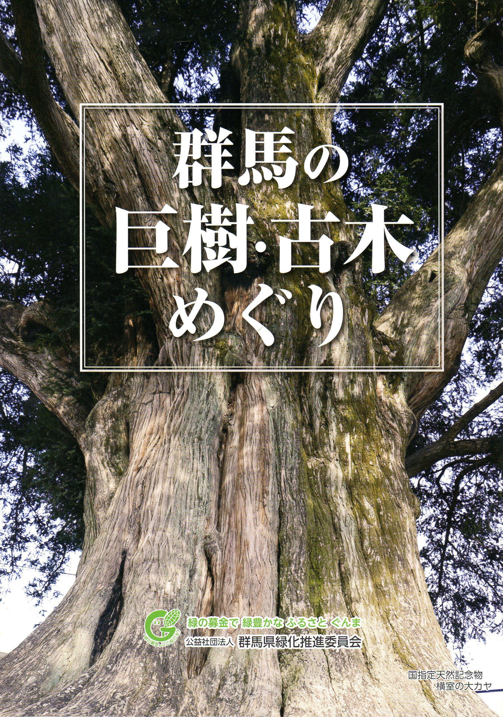 冊子群馬の巨樹古木